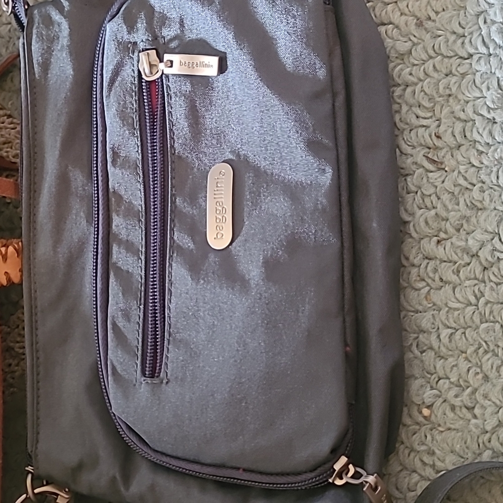 Baggallini bag